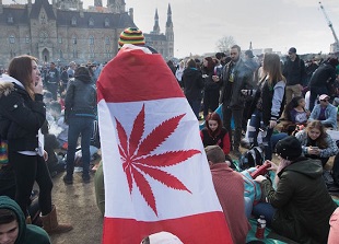 Canada legalizza la marijuana a scopo ricreativo