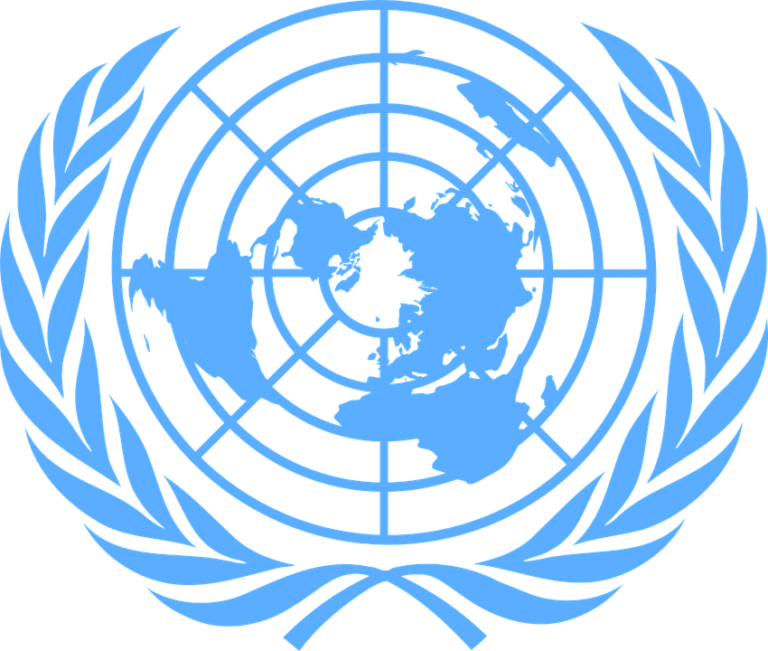 L’ONU interviene in Italia: siamo sicuri che non abbia ragione?