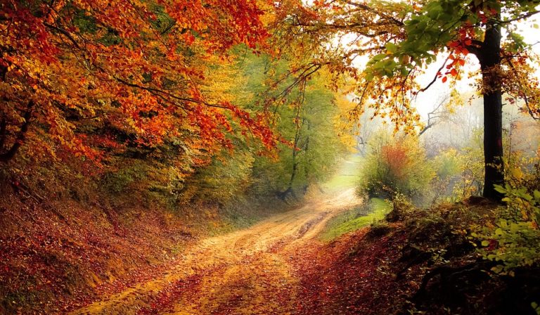 FAI: ricominciano le aperture straordinarie con le Giornate d’Autunno