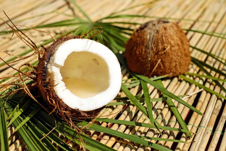 Olio di cocco: tutti gli usi ed i benefici per la salute umana