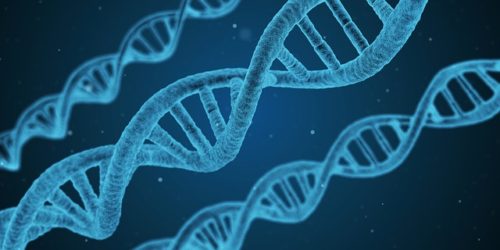 Particelle dell’elettrolisi: ecco quali sono e come funzionano!