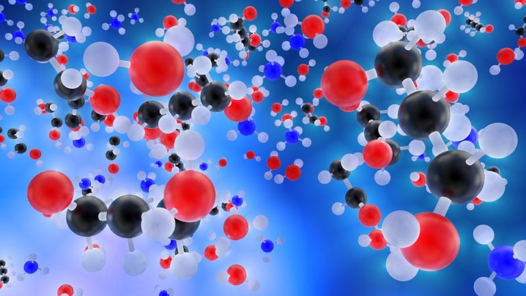 Biologia Quantistica: forse la risposta è nei batteri
