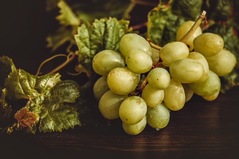 Estratto d’uva da champagne: i poteri benefici anti-aging e i prodotti cosmetici naturali