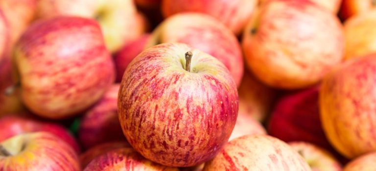 Rutina: un flavonoide alleato del benessere del cuore, cervello e sangue