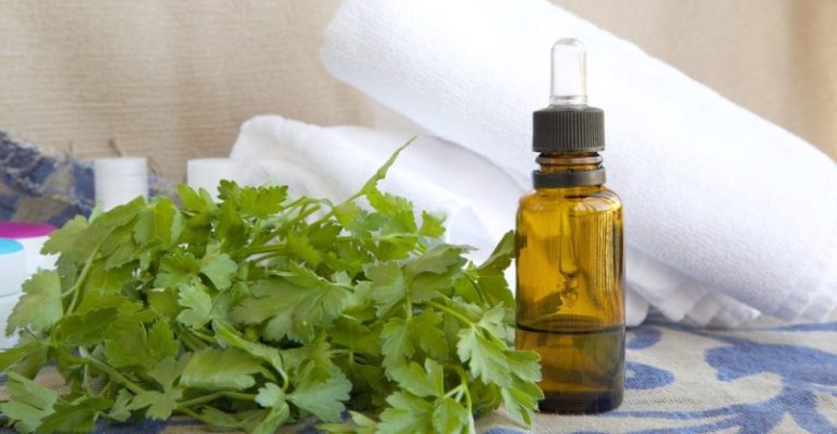 Olio essenziale di prezzemolo: quali sono i benefici per la salute?