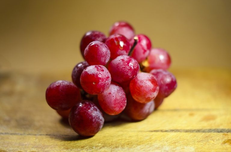 vite rossa