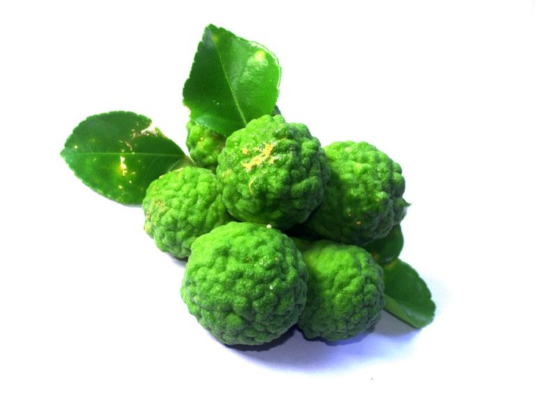 bergamotto