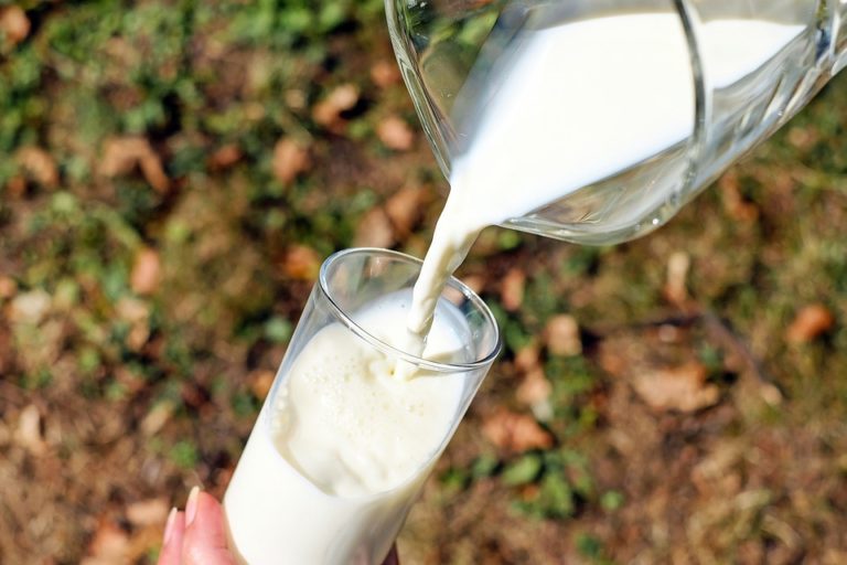 Latte di canapa: un’alternativa priva di latticini ricca di nutrienti