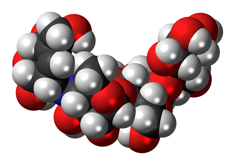 oligosaccaridi oligosaccaridi benefici