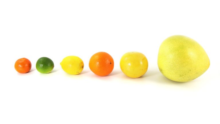 Che cos’è il frutto Pomelo? Ecco 3 benefici che non conosci!