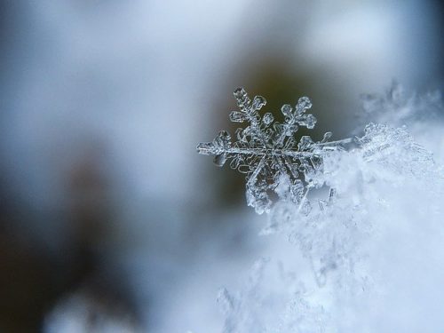 Arriva il freddo artico: da febbraio vento gelido dal Circolo Polare