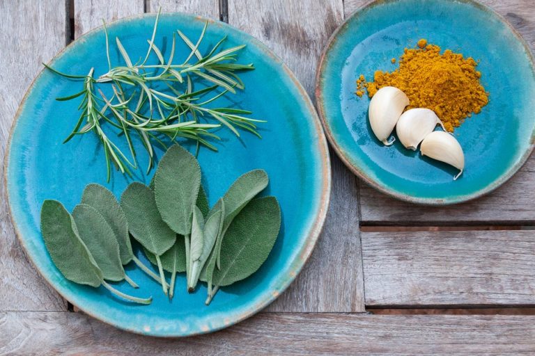 Olio di salvia sclarea: i benefici per dolore mestruale, equilibrio ormonale e altro