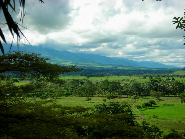Savane (praterie del Sud America): è possibile visitarle? E quando?