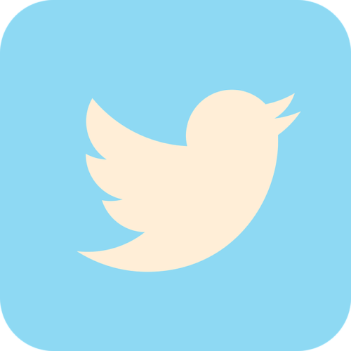 Tweet di Madame: la spiegazione tramite le storie Instagram
