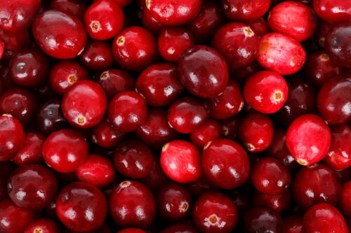 Mirtilli rossi e cistite: perchè è l’unica cura naturale che funziona