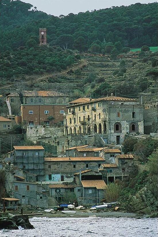 Isola a nord di Capraia: cosa si sa di Gorgona? Cosa vedere?
