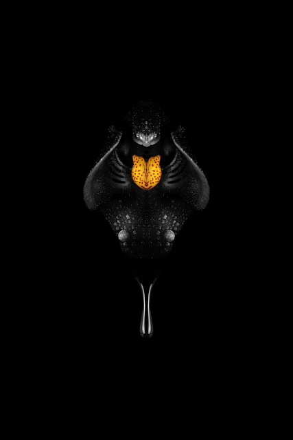 I segreti dell’orchidea nera: mito o realtà? Scopri le specie più rare e misteriose