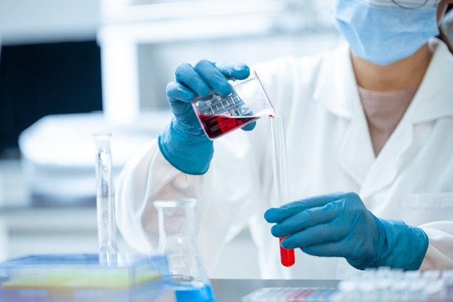 Virus B scimmie: di che cosa si tratta? Quali sono i sintomi?