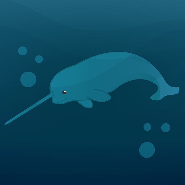 Cetaceo dal tipico dente: habitat e comportamento del narvalo