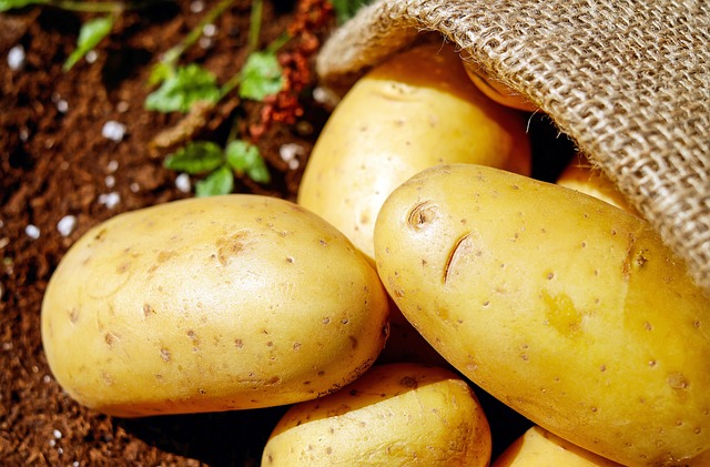 Il veleno delle patate: cosa comporta la solanina? Come comportarsi