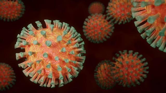 Virus Congo: tutto quello che c’è da sapere