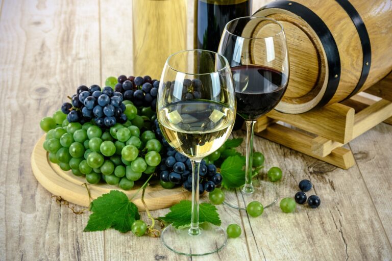 Guida all’acquisto di vini raffinati su Vinoland.com: spedizioni rapide e massima sicurezza